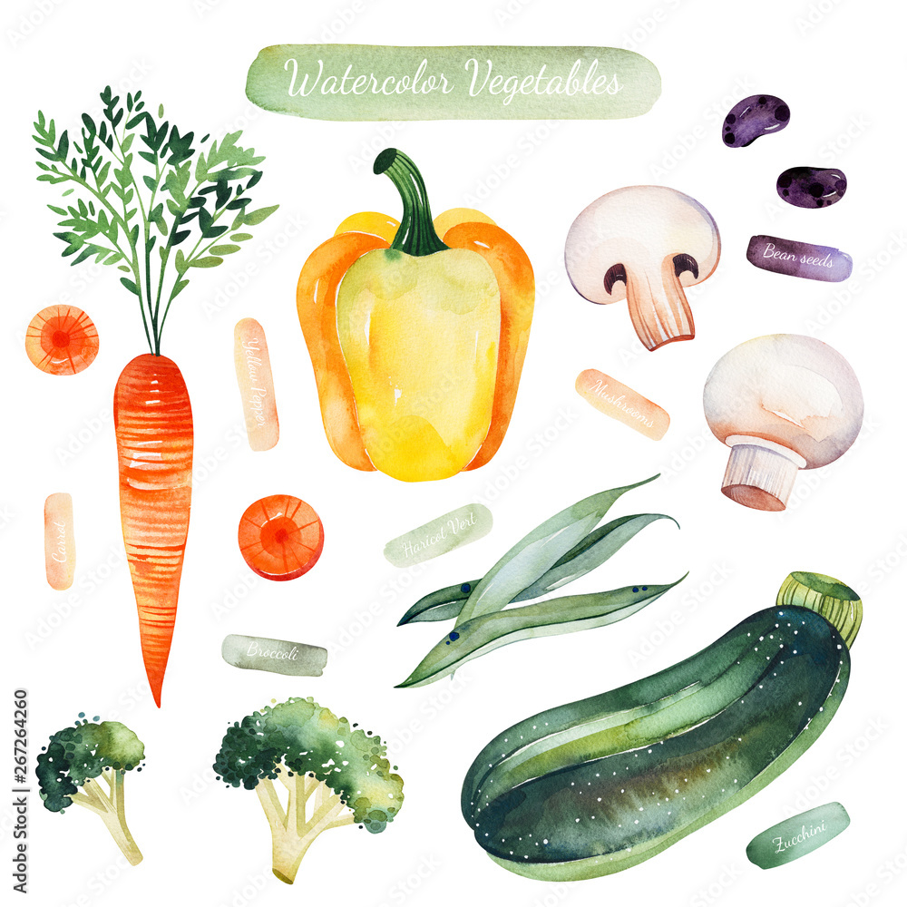 Plakat Watercolor hand painted vegetables isolated on white background.Colorful set with mushrooms,carrot,zucchini, beans,broccoli. Vegetarian collection.Pefect for your design,recipes,invitations,greeting.