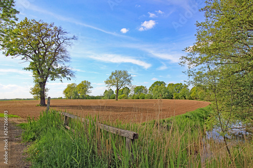 Frühlingslandschaft in Norddeutschland (Elbmarsch) photo