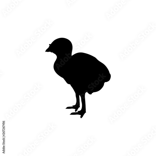 Turkey poult bird black silhouette animal. Vector Illustrator.
