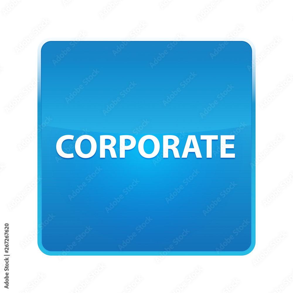 Corporate shiny blue square button Corporate shiny blue square button