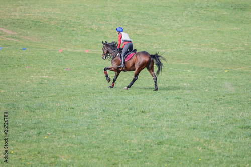 portrait of horse and rider galloping during eventing competition