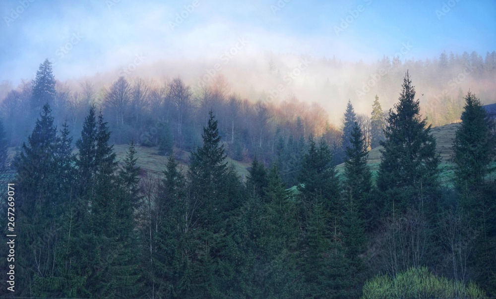 Sunrise in the village over the Carpathian Mountains. Ukraine.