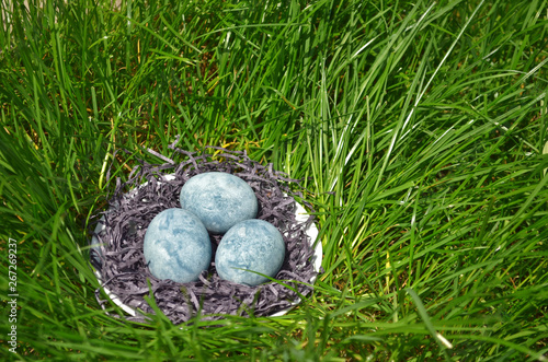 Three blue eggs, painted in tea hibiscus, lie in a hay in saucer on green grass, like dragon eggs and marble, side view