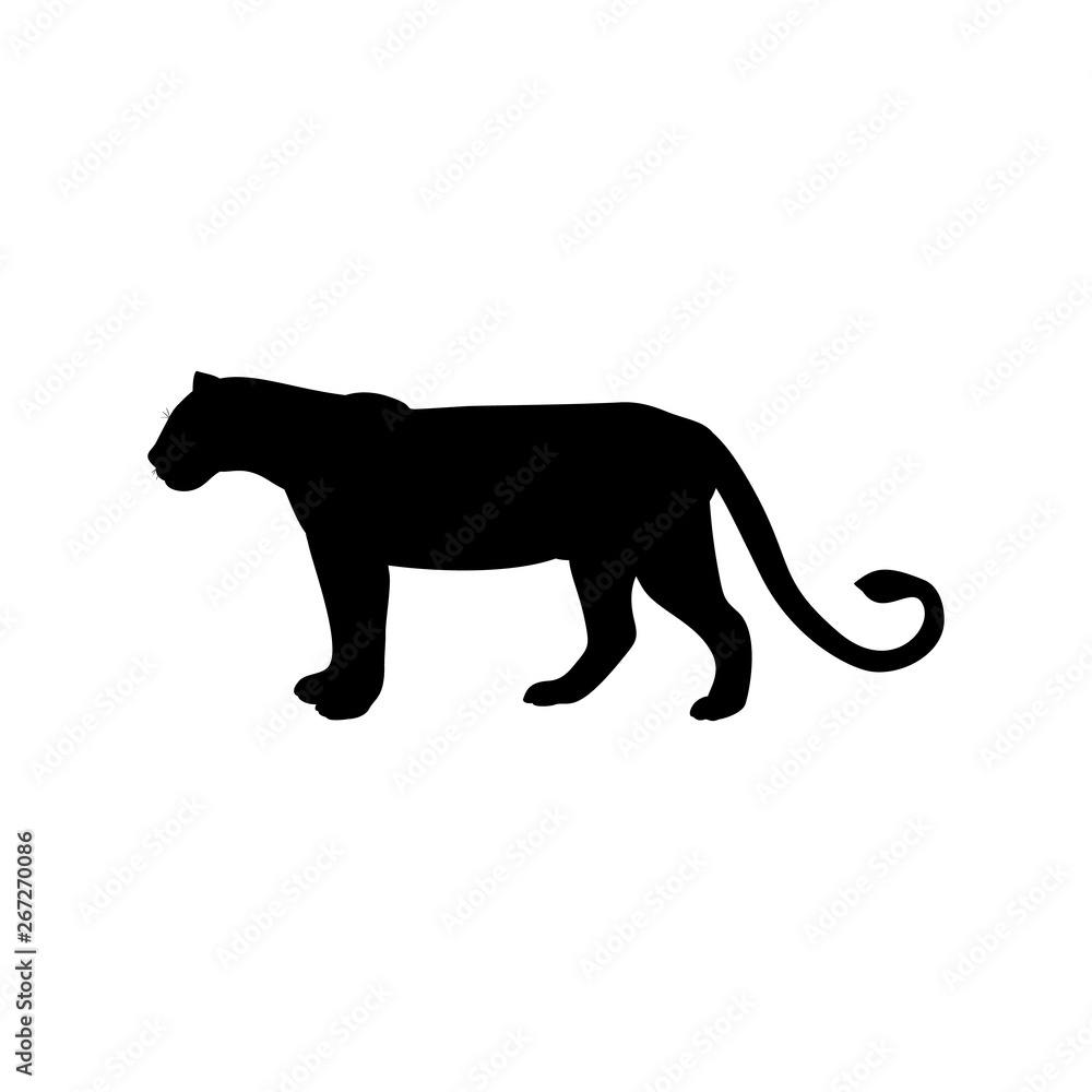 Lioness predator black silhouette animal. Vector Illustrator.
