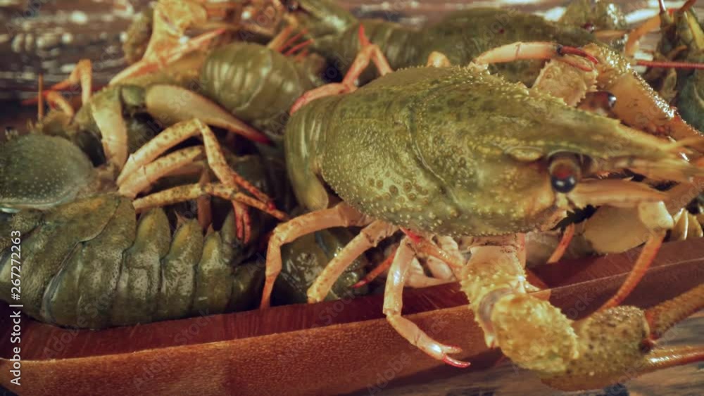 Live crayfish on a wooden table Live crayfish on a wooden table