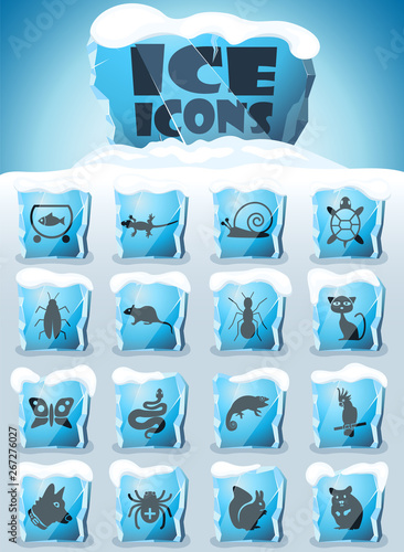 pets icon set