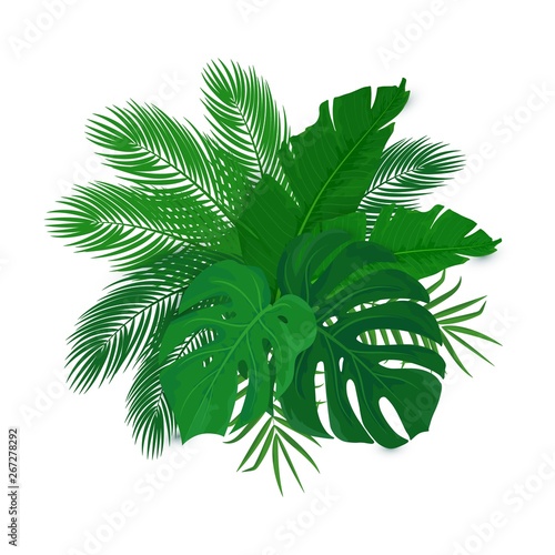 Vector Tropical flower bouquet of green palm leaves, leaves of monstera and banana isolated on white. Exotic template for sale, offers design, poster, party, summer background, clip art, tropic leaf .