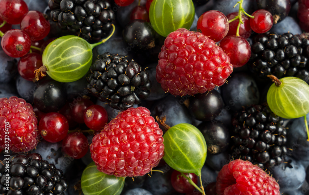 Mix berries and fruits. Ripe blackberries, blackcurrants, red currants, raspberries and gooseberries. Top view. Background berries and fruits. Various fresh summer fruits. Mix berries and fruits. Ripe blackberries, blackcurrants, red currants, raspberries and gooseberries. Top view. Background berries and fruits. Various fresh summer fruits.