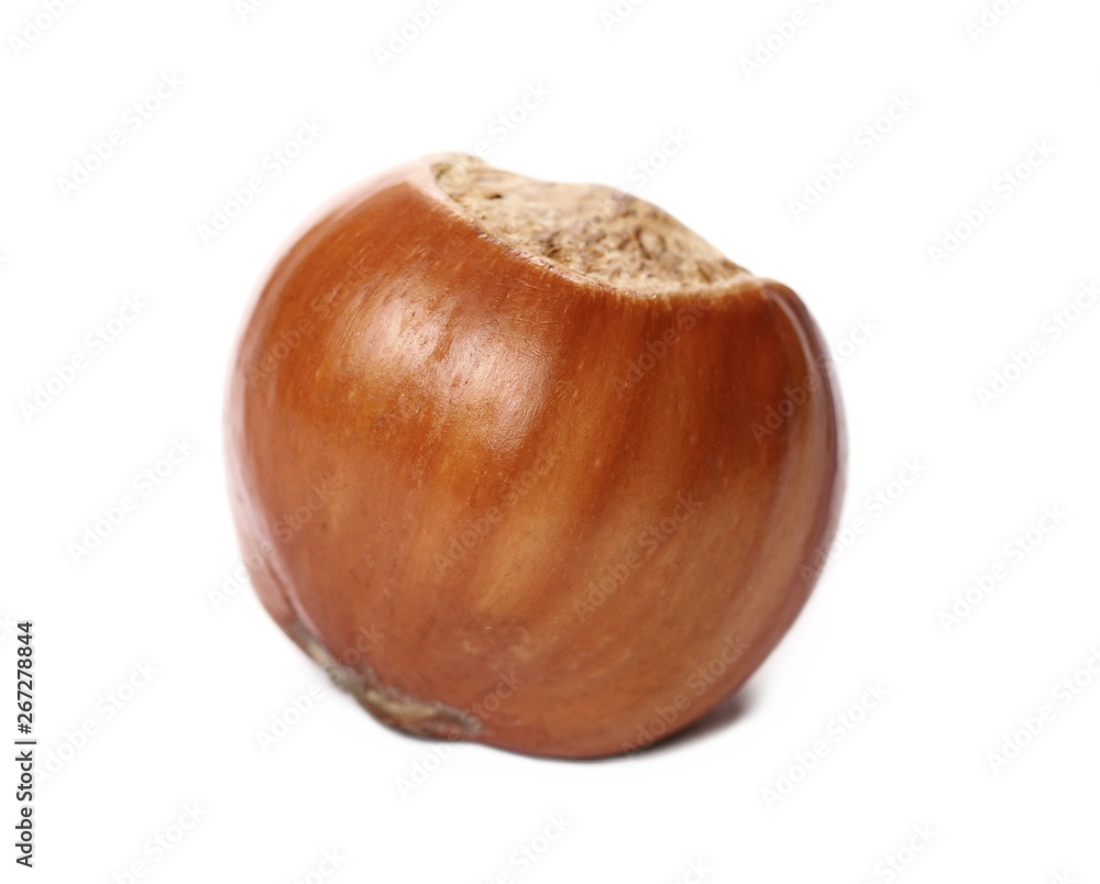 Hazelnut isolated on white background Hazelnut isolated on white background