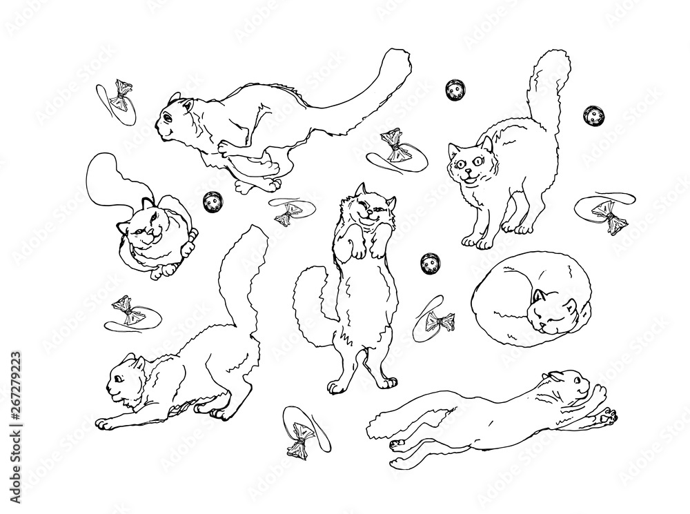 Fototapeta premium doodle, set, isolated images of playing and sleeping fluffy white domestic cats on white background and lettering, packaging 