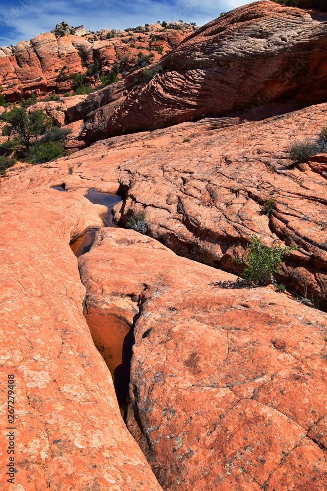 Views from the Lower Sand Cove trail to the Vortex formation, by Snow Canyon State Park in the Red Cliffs National Conservation Area, by Gunlock and Saint George, Utah, United States. Views from the Lower Sand Cove trail to the Vortex formation, by Snow Canyon State Park in the Red Cliffs National Conservation Area, by Gunlock and Saint George, Utah, United States.