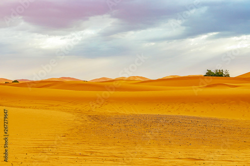 Beautiful sand dunes in the Sahara desert.