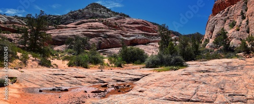 Views from the Lower Sand Cove trail to the Vortex formation, by Snow Canyon State Park in the Red Cliffs National Conservation Area, by Gunlock and Saint George, Utah, United States. 