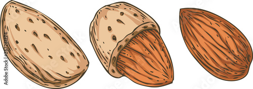 Shelled and Unshelled Almond