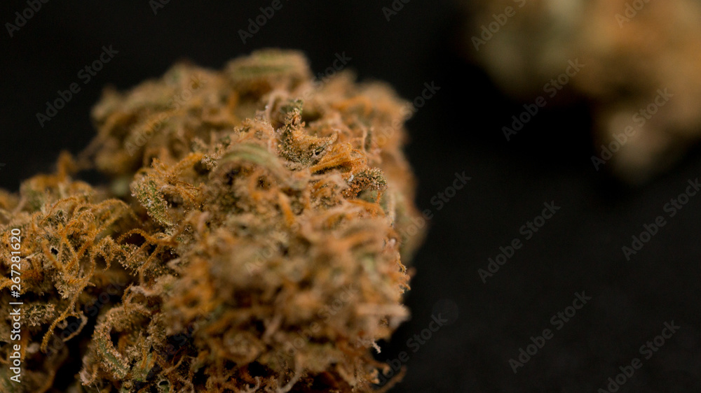 Cannabis Marijuana Buds in Black Background Weed Buds Cannabis Marijuana Buds in Black Background Weed Buds