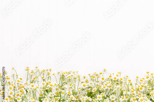 Fototapeta Naklejka Na Ścianę i Meble -  Chamomile flowers floral framee. Flat lay, top view.