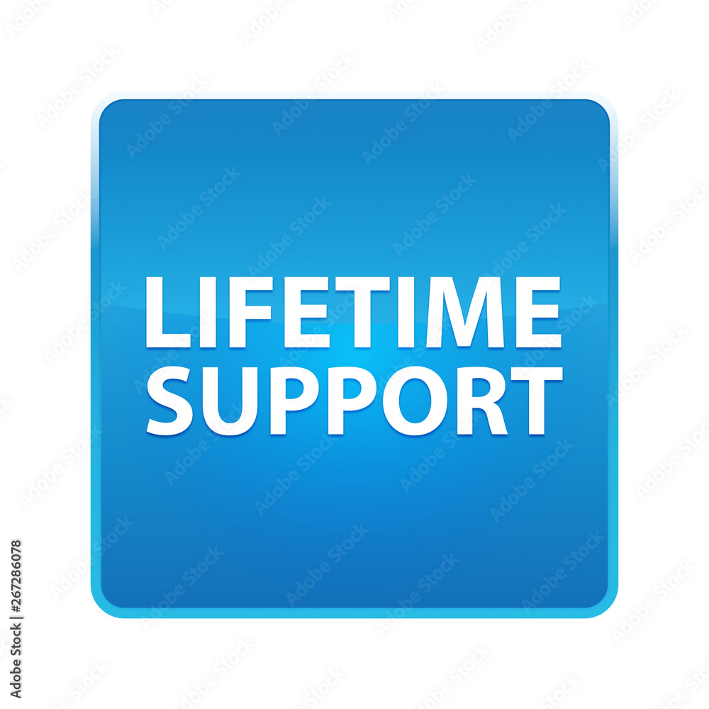 Lifetime Support shiny blue square button Lifetime Support shiny blue square button