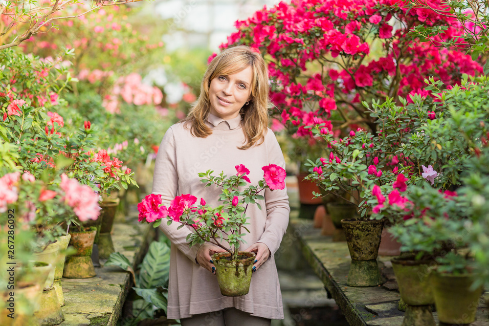 Beautiful woman watering plants and gardening in greenhouse. Beautiful woman watering plants and gardening in greenhouse.