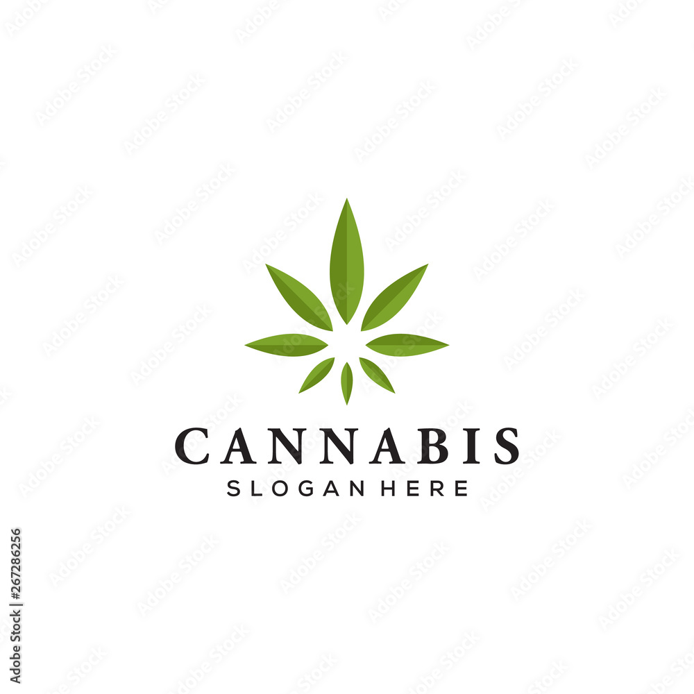 marijuana / cannabis leaves vector logo design