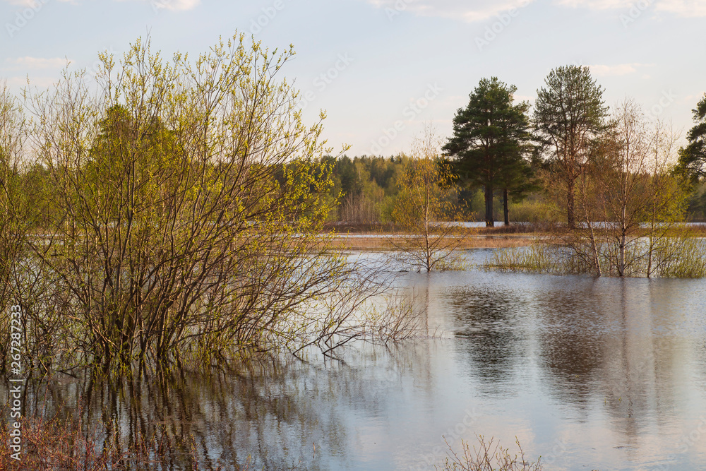Beautiful spring landscape on the lake. Beautiful spring landscape on the lake.