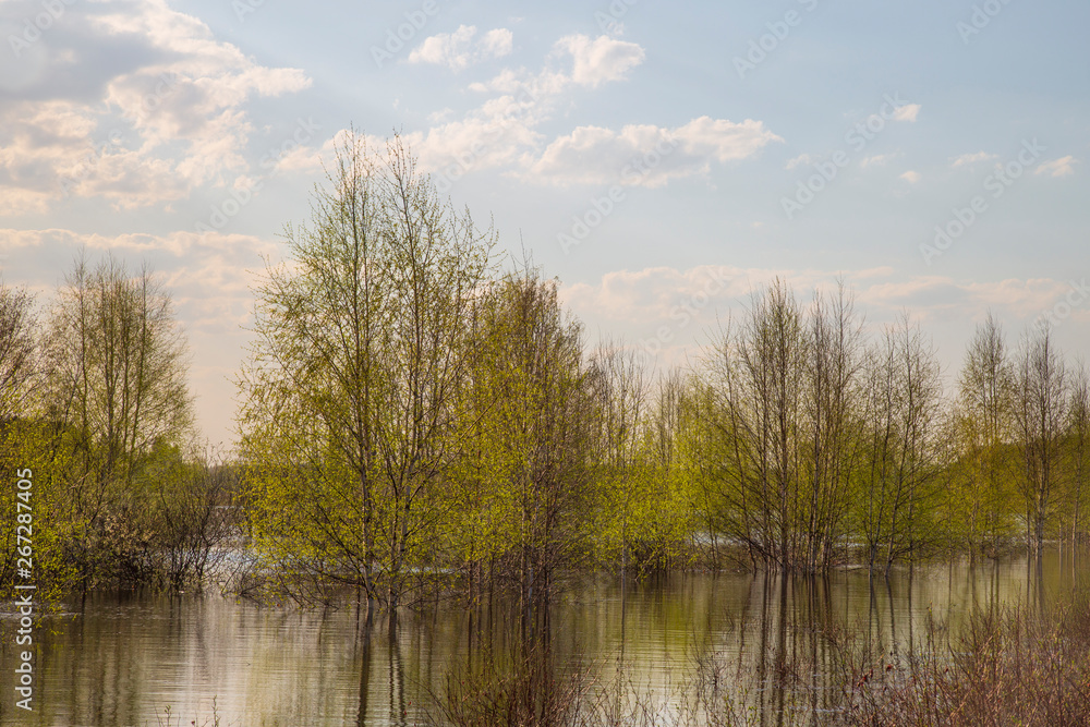 Beautiful spring landscape on the lake.