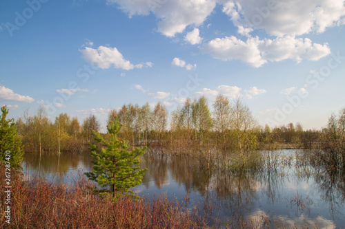 Beautiful spring landscape on the lake. © Александр Поташев