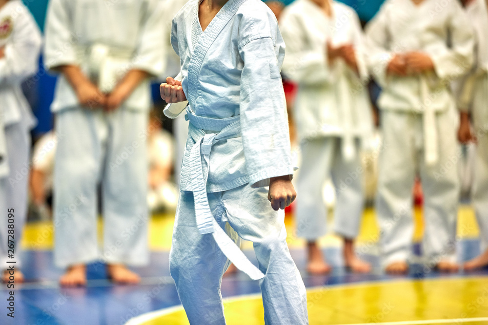Naklejka premium Concept karate, martial arts. Concept of leadership, victory, martial arts. The fighter performs exercises in front of a group of fighters.