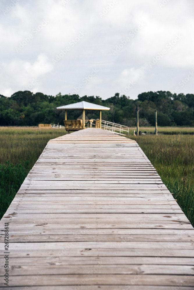 Obraz premium Edisto Island in South Carolina 
