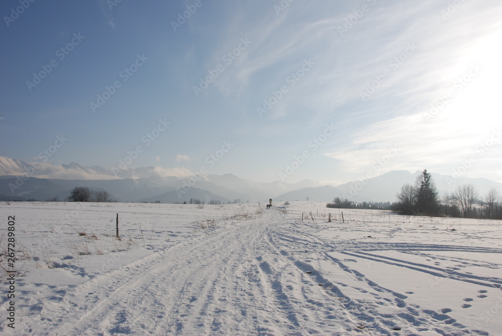 winter landscape with blue sky and clouds winter landscape with blue sky and clouds
