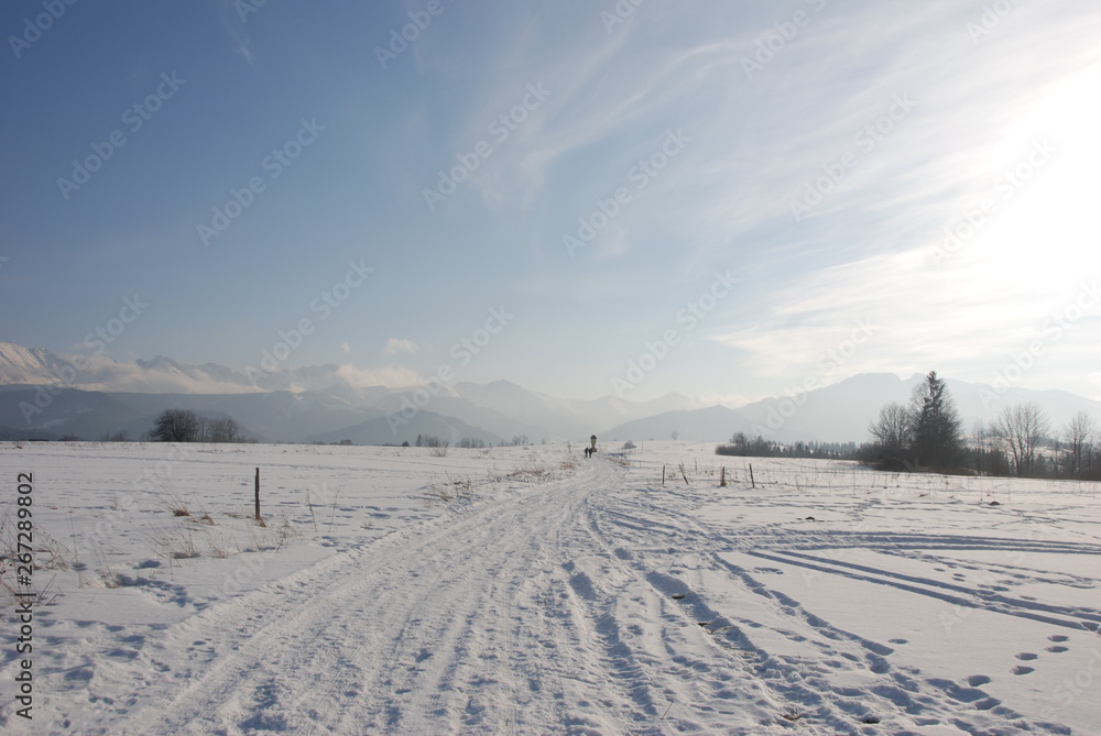 winter landscape with blue sky and clouds