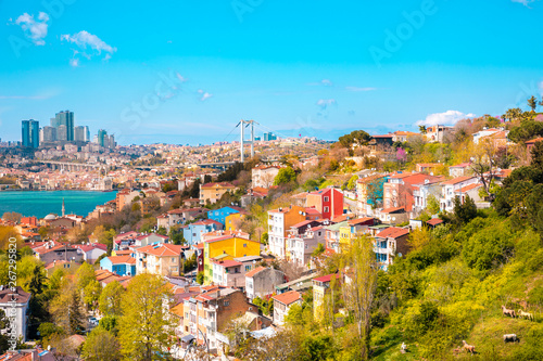 View of the Istanbul City of Turkey and houses with Bosphorus Bridge at Marmara Sea  © Hakan Tanak