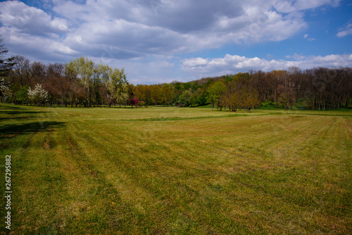 Photo of a park with little field, beautiful sunny spring day