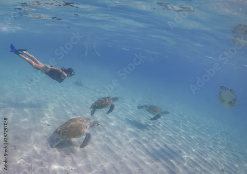  Swimming with turtles  views around the Caribbean island of Curacao © Gail Johnson