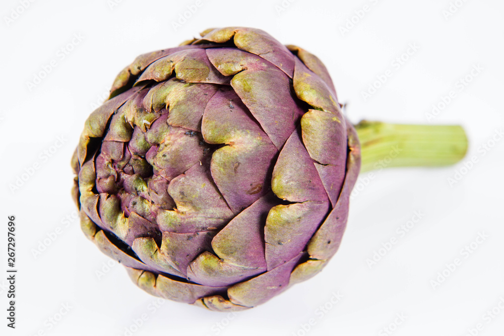 Obraz premium A single artichoke flower on a white background