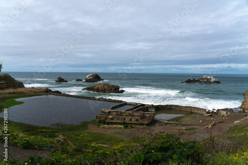 Spring Impressions from the Lands End in Golden Gate Recreation Area in San Francisco