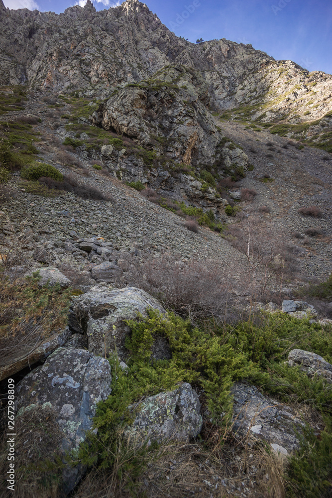 trekking through caucasus mountains