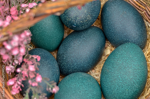 Fotografia Green emu eggs in the basket. Selective focus.