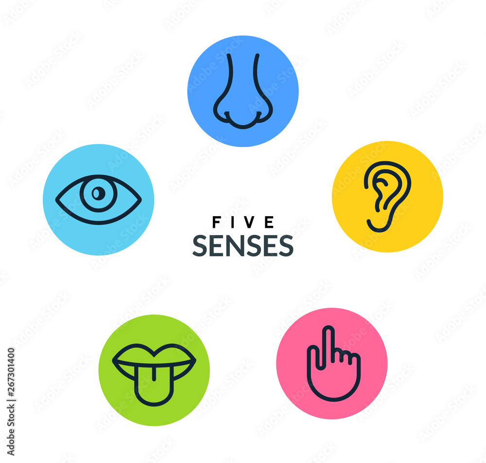 Five human senses vision eye, smell nose, hearing ear, touch hand, taste mouth and tongue. Line vector icons set Five human senses vision eye, smell nose, hearing ear, touch hand, taste mouth and tongue. Line vector icons set