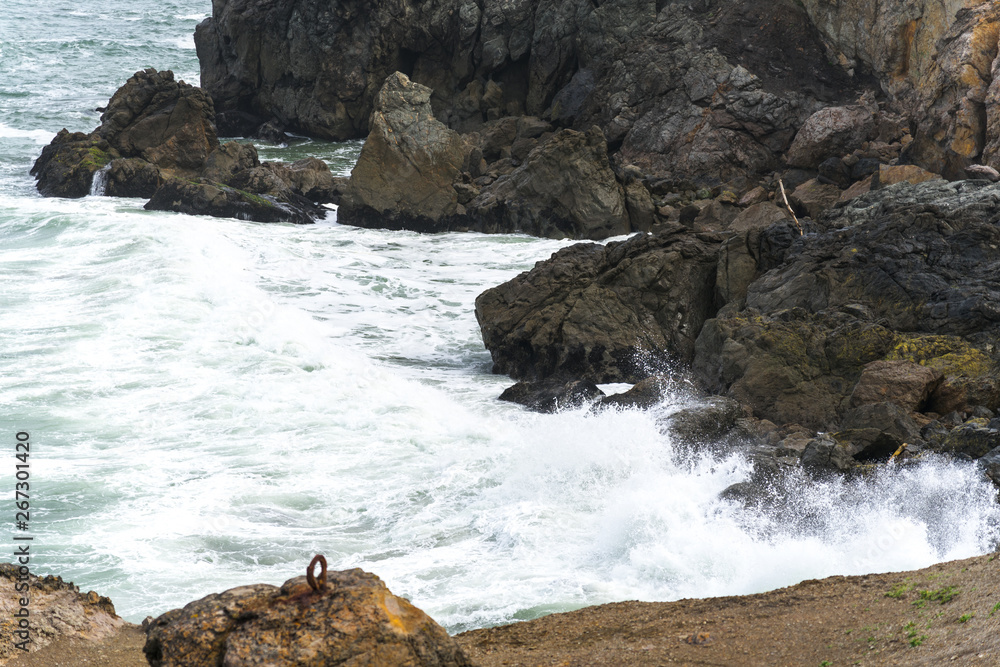 Naklejka premium Spring Impressions from the Lands End in Golden Gate Recreation Area in San Francisco