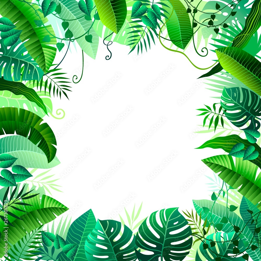 frame of different tropical leaves on white background