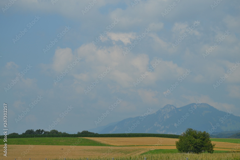 Fototapeta premium Switzerland landscape