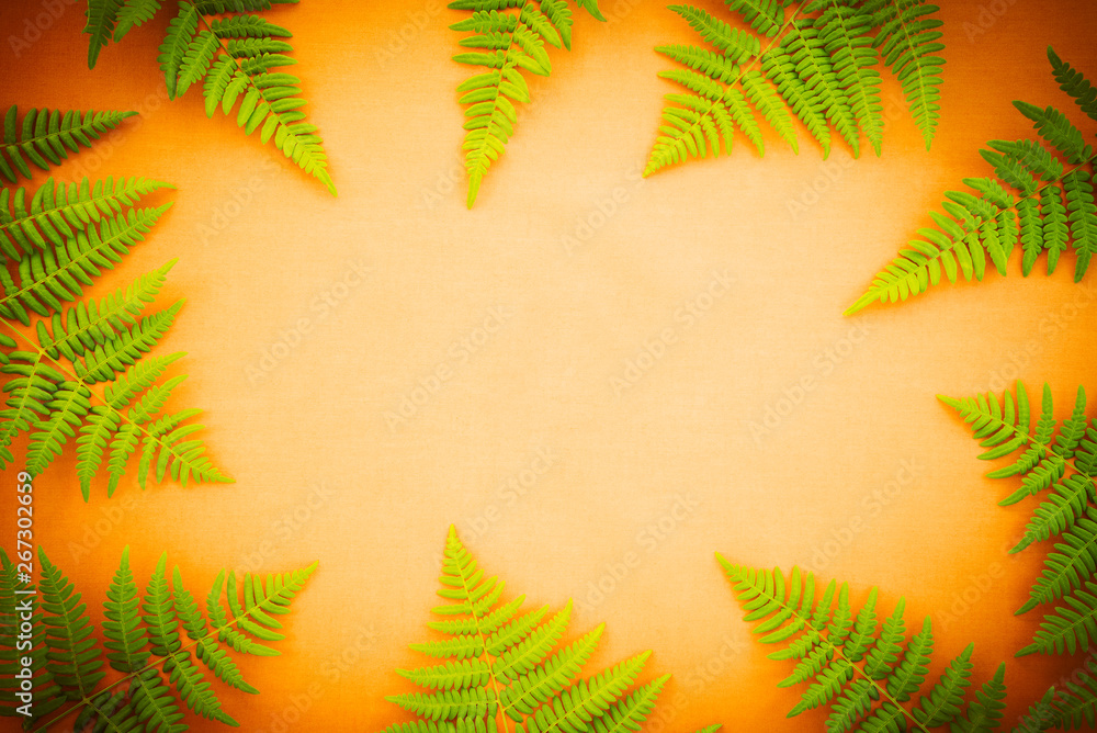 Green fern frame on bright orange background