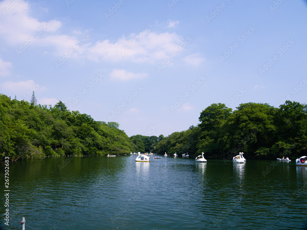 boat on river