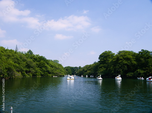 Obraz na płótnie boat on river w salonie