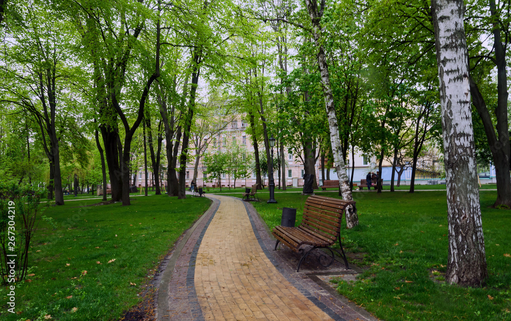 walking paths in the park, benches for rest, and green trees walking paths in the park, benches for rest, and green trees
