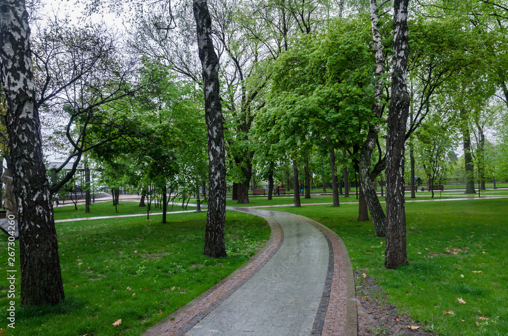 walking paths in the park, benches for rest, and green trees