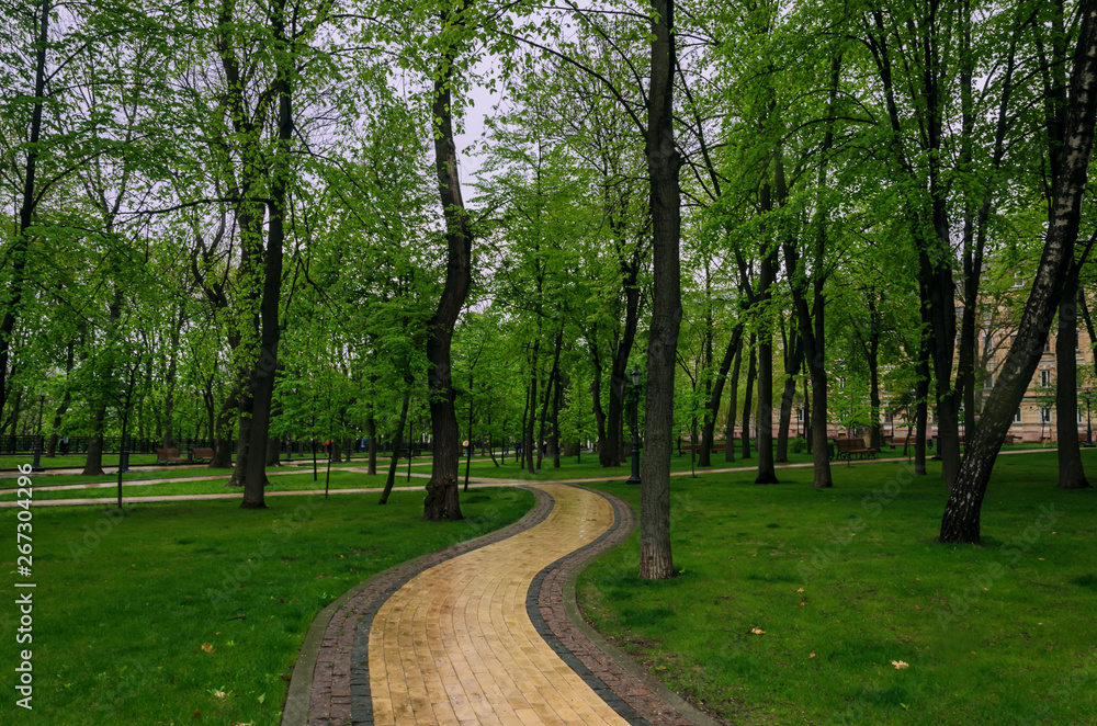 walking paths in the park, benches for rest, and green trees