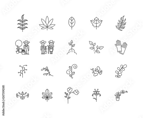 Herbalist line icons, linear signs, vector set, outline concept illustration