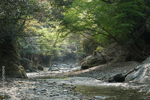山奥の川