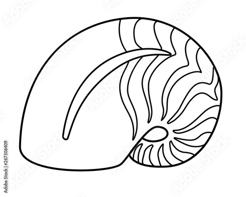 Nautilus - sea animal, mollusk. Nautilus shell Striped shell - linear, vector picture for coloring.